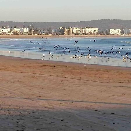 Darsal-Bwindi, Pour Tomber Amoureux D'Essaouira !ヴィラ エクステリア 写真