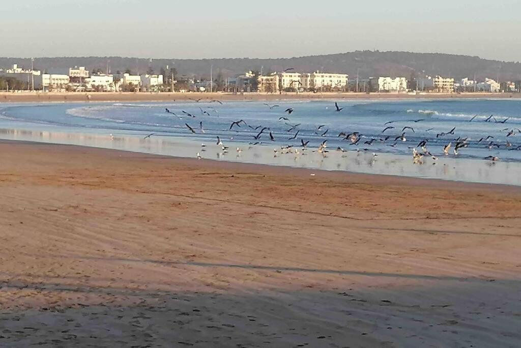 Darsal-Bwindi, Pour Tomber Amoureux D'Essaouira !ヴィラ エクステリア 写真