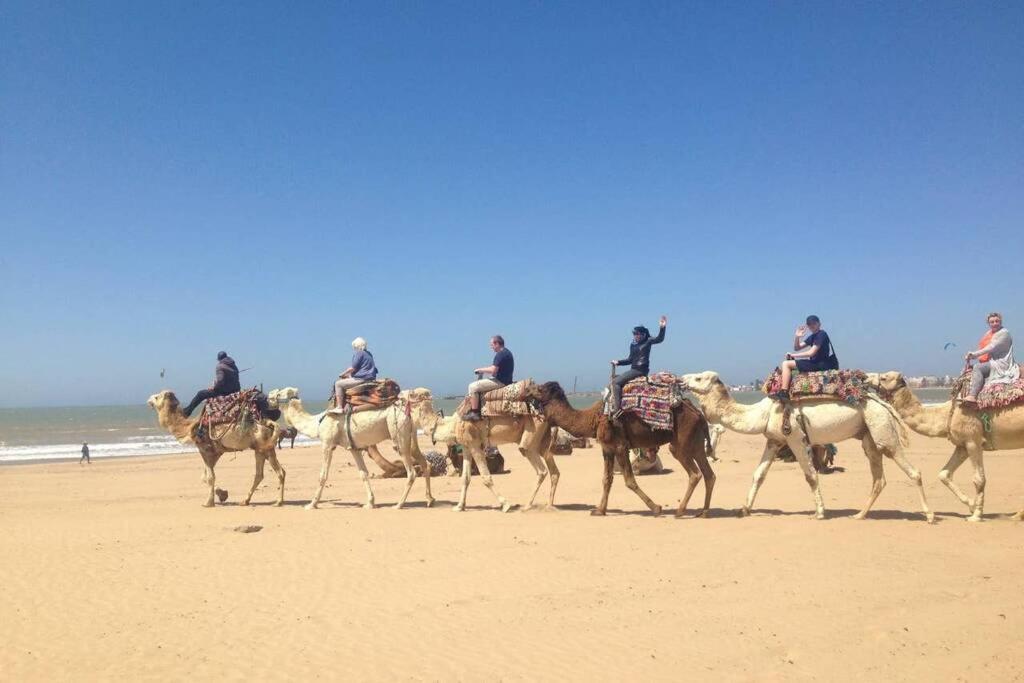 Darsal-Bwindi, Pour Tomber Amoureux D'Essaouira !ヴィラ エクステリア 写真