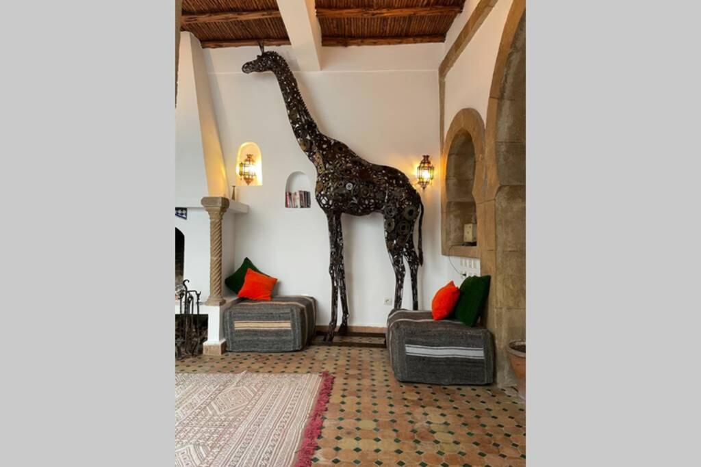 Darsal-Bwindi, Pour Tomber Amoureux D'Essaouira !ヴィラ エクステリア 写真